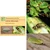 20 Pcs Insect Lures For Spiny Bollworm (Earias Insulana)